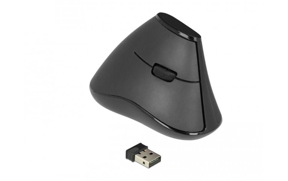 Delock Ergonomische Maus 12622 Silent USB kabellos
