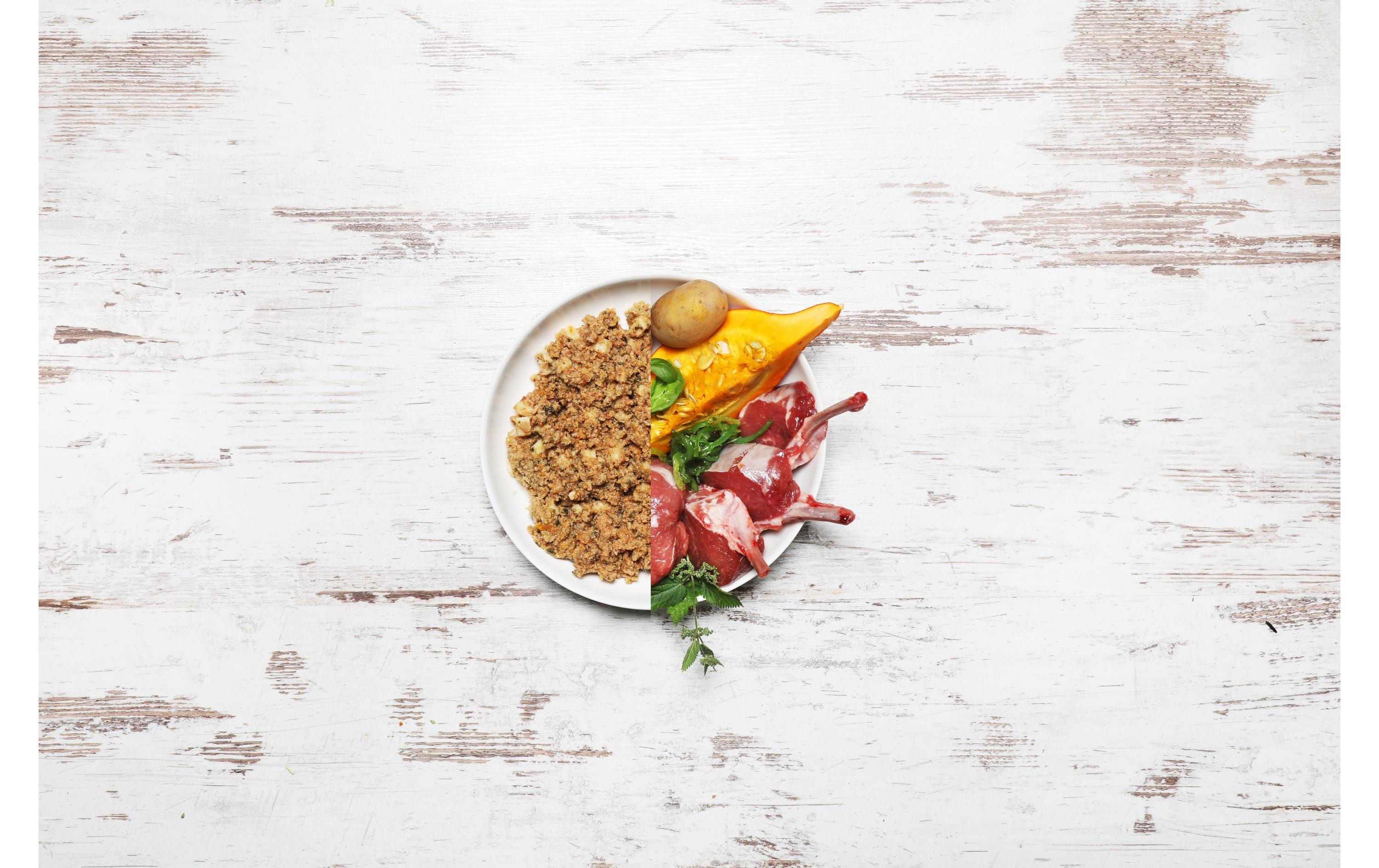 Dog's Love Nassfutter Adult Lamm, 400 g