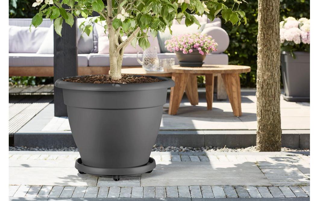 Elho Rolleruntersetzer Universal Planttaxi 30 cm Schwarz
