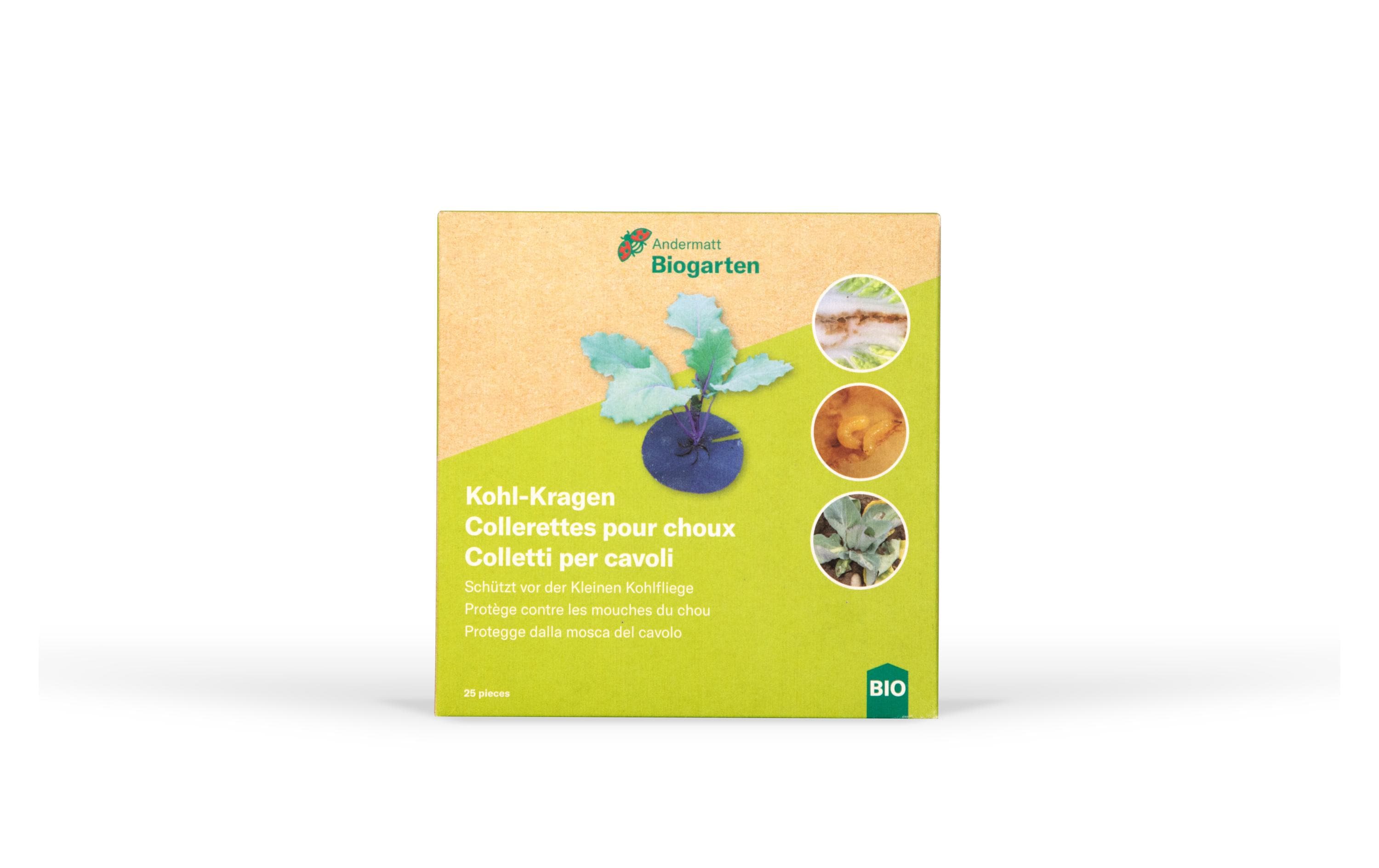 Andermatt Biogarten BIO Kohl-Kragen, 25 Stück Andermatt Biogarten BIO Kohl-Kragen, 25 Stück