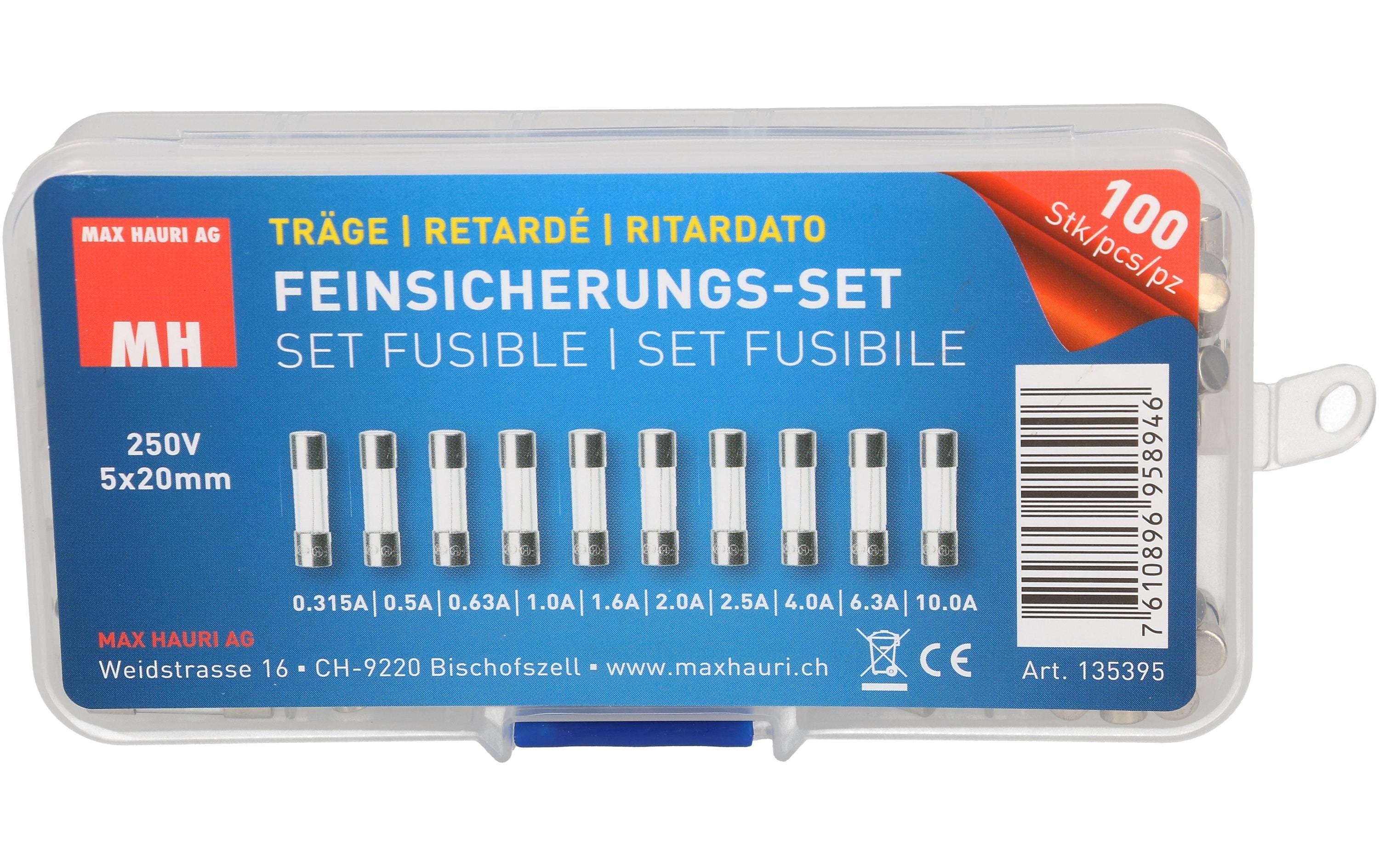 Max Hauri Schmelzsicherung Set 5 x 20 mm Träge, 100 Stück Max Hauri Schmelzsicherung Set 5 x 20 mm Träge, 100 Stück