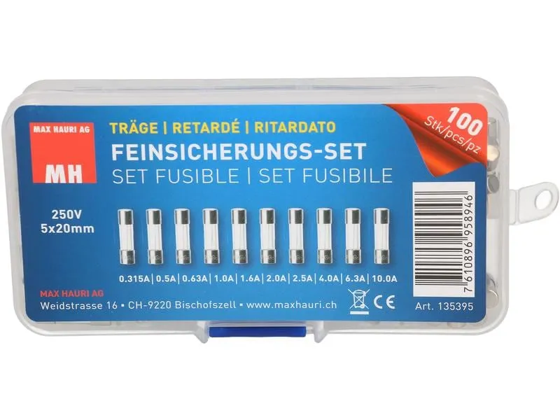 Max Hauri Schmelzsicherung Set 5 x 20 mm Träge, 100 Stück Max Hauri Schmelzsicherung Set 5 x 20 mm Träge, 100 Stück
