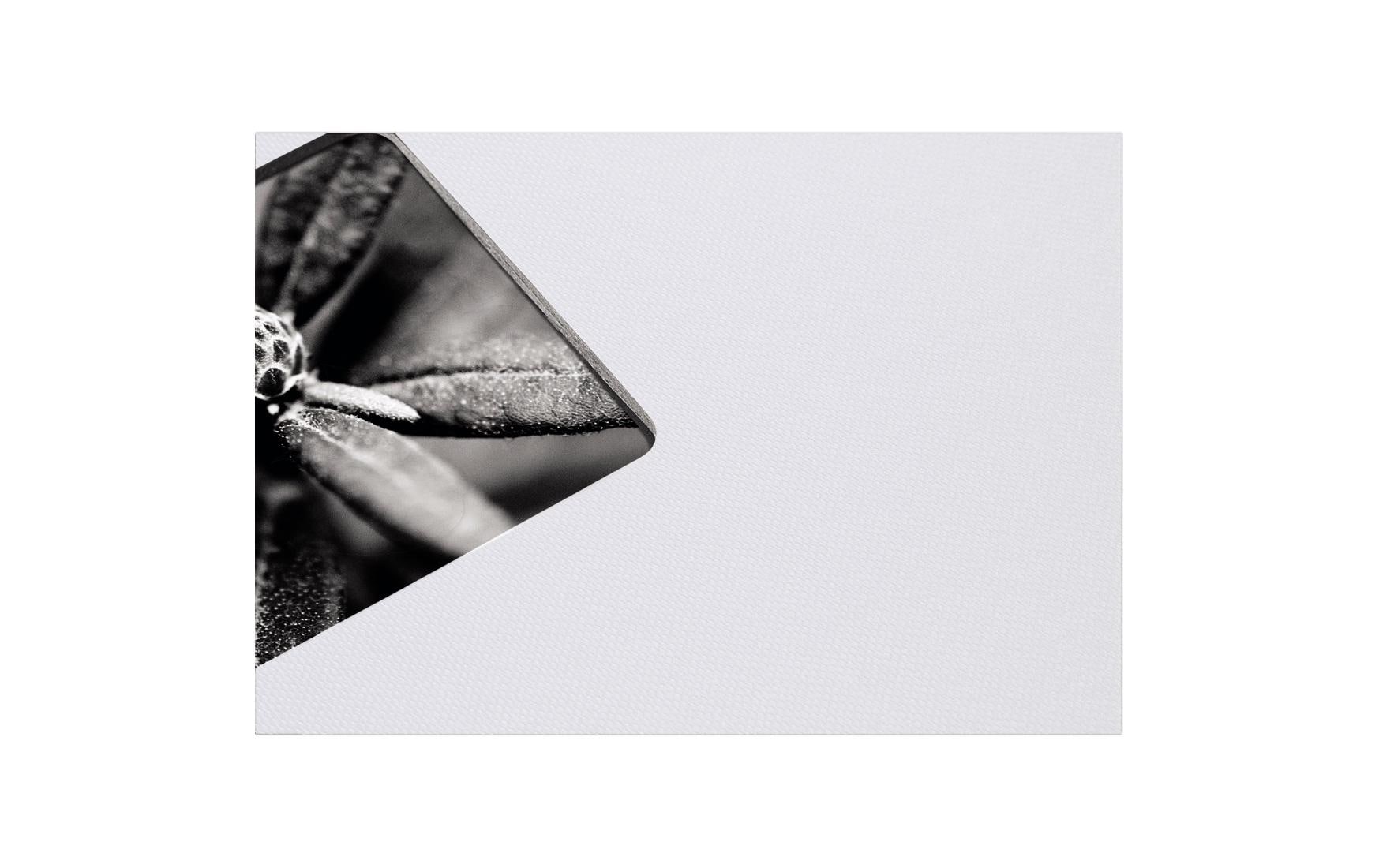 Hama Fotoalbum Fine Art 28 x 24 cm Kreide, 50 schwarze Seiten