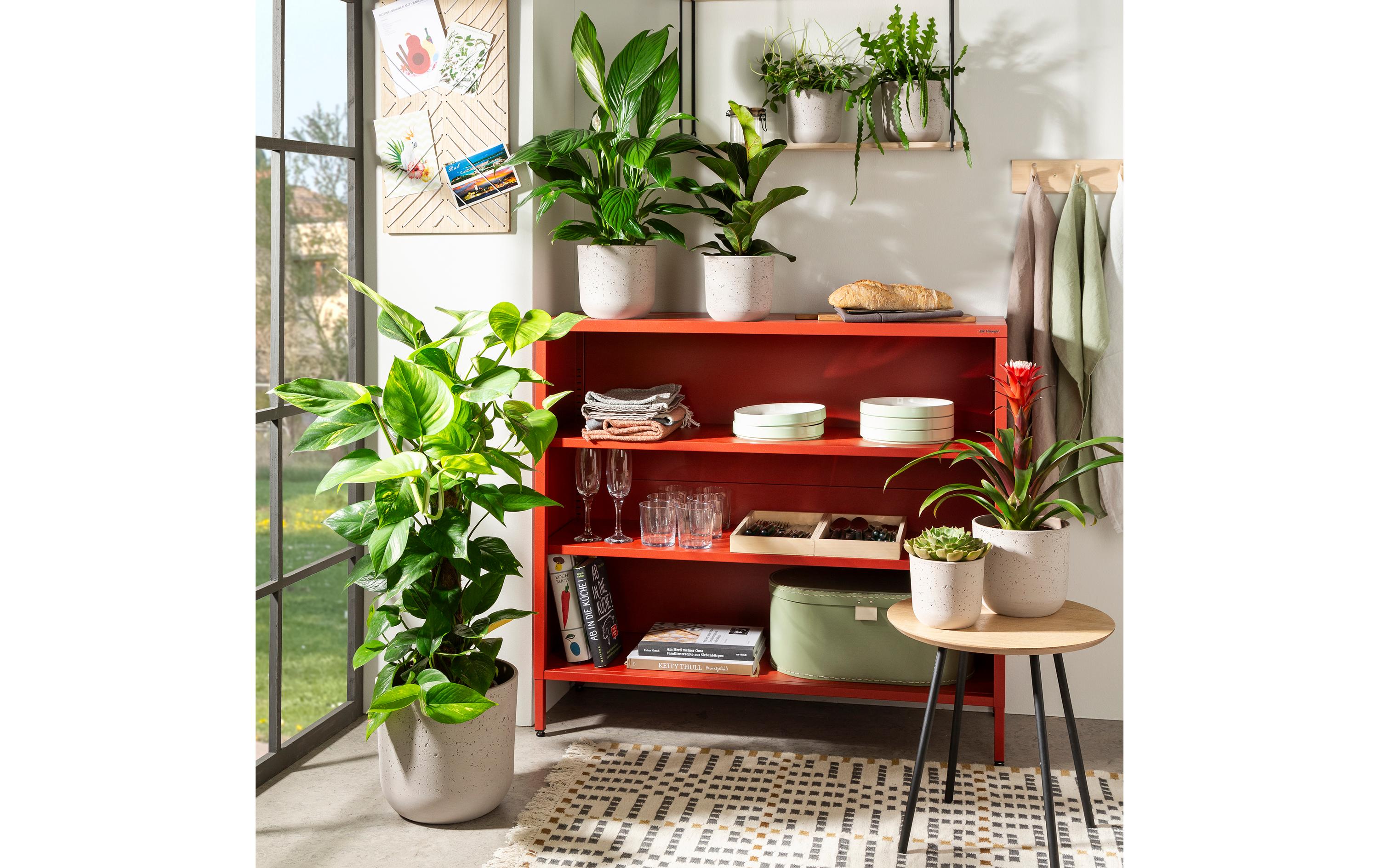 scheurich Blumentopf Basalto 20.2 cm, Grau