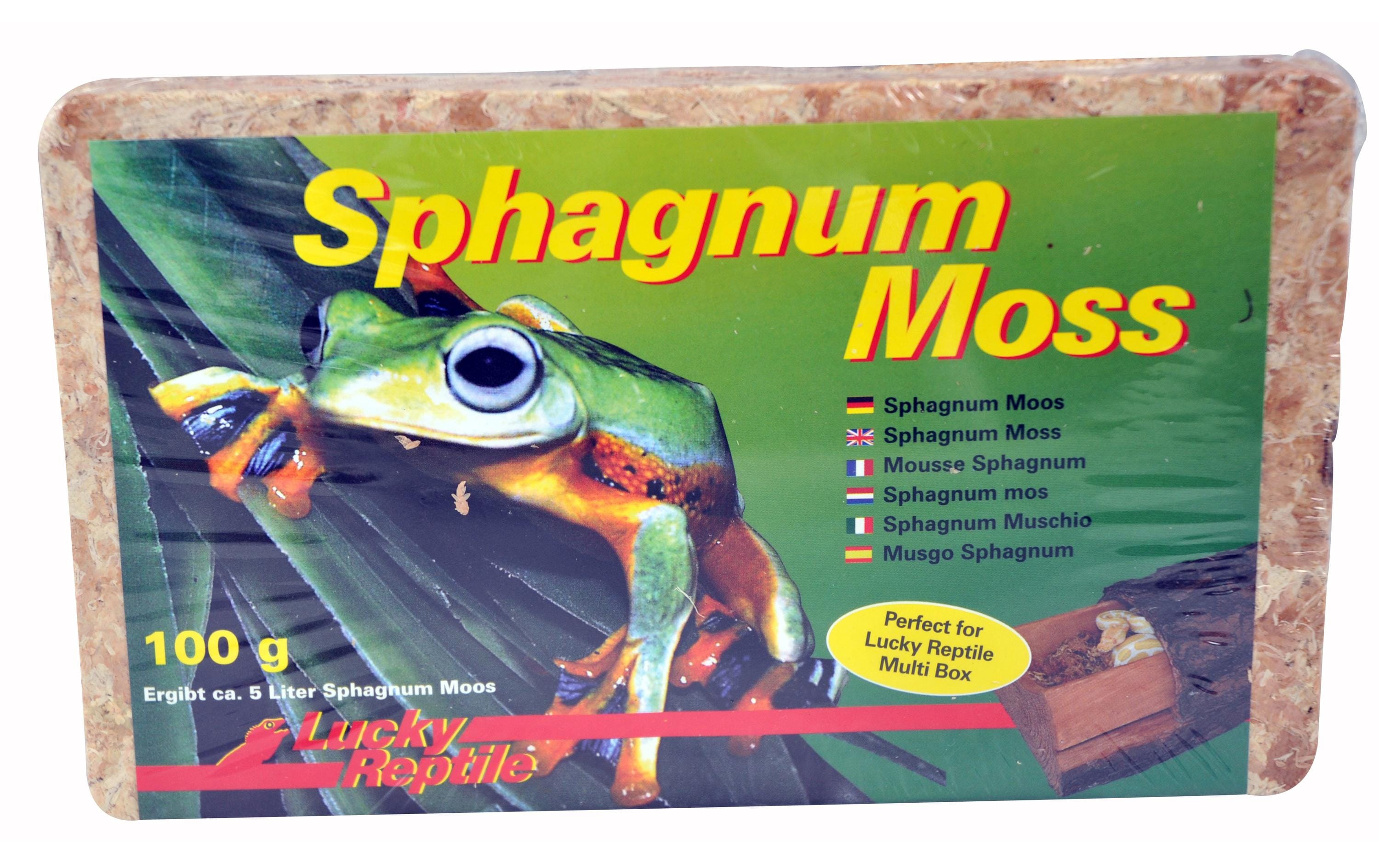 Lucky Reptile Bodensubstrat Sphagnum Moss 100 g/5 l Lucky Reptile Bodensubstrat Sphagnum Moss 100 g/5 l