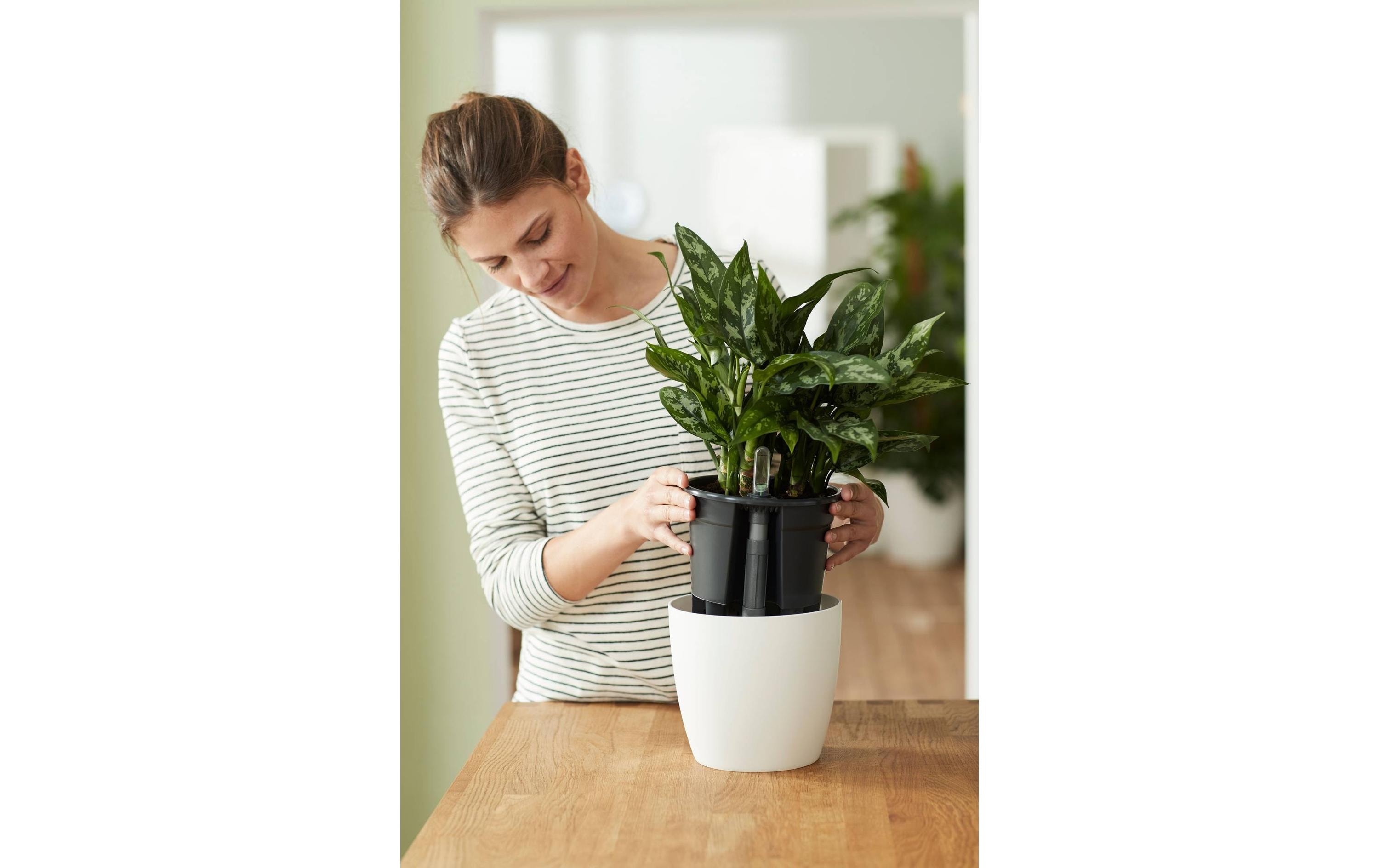 Elho Selbstbewässerungssystem 17 cm