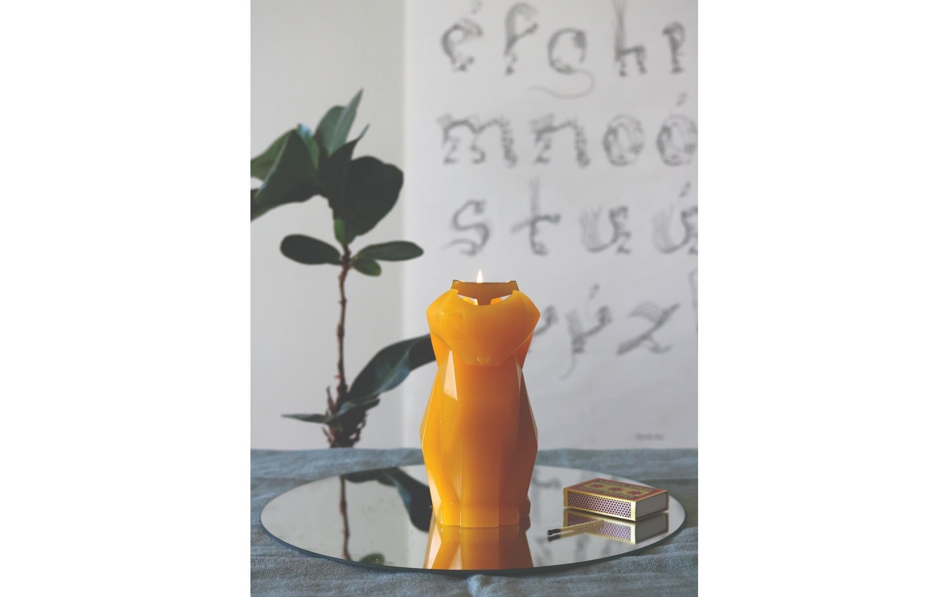 54Celsius Kerze PyroPet Cat Kisa Senfgelb