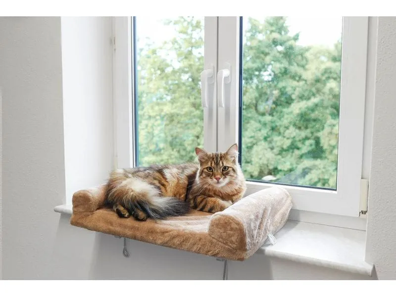 Kerbl Liegeplatz Fensterliegebrett 55 x 35 cm Kerbl Liegeplatz Fensterliegebrett 55 x 35 cm