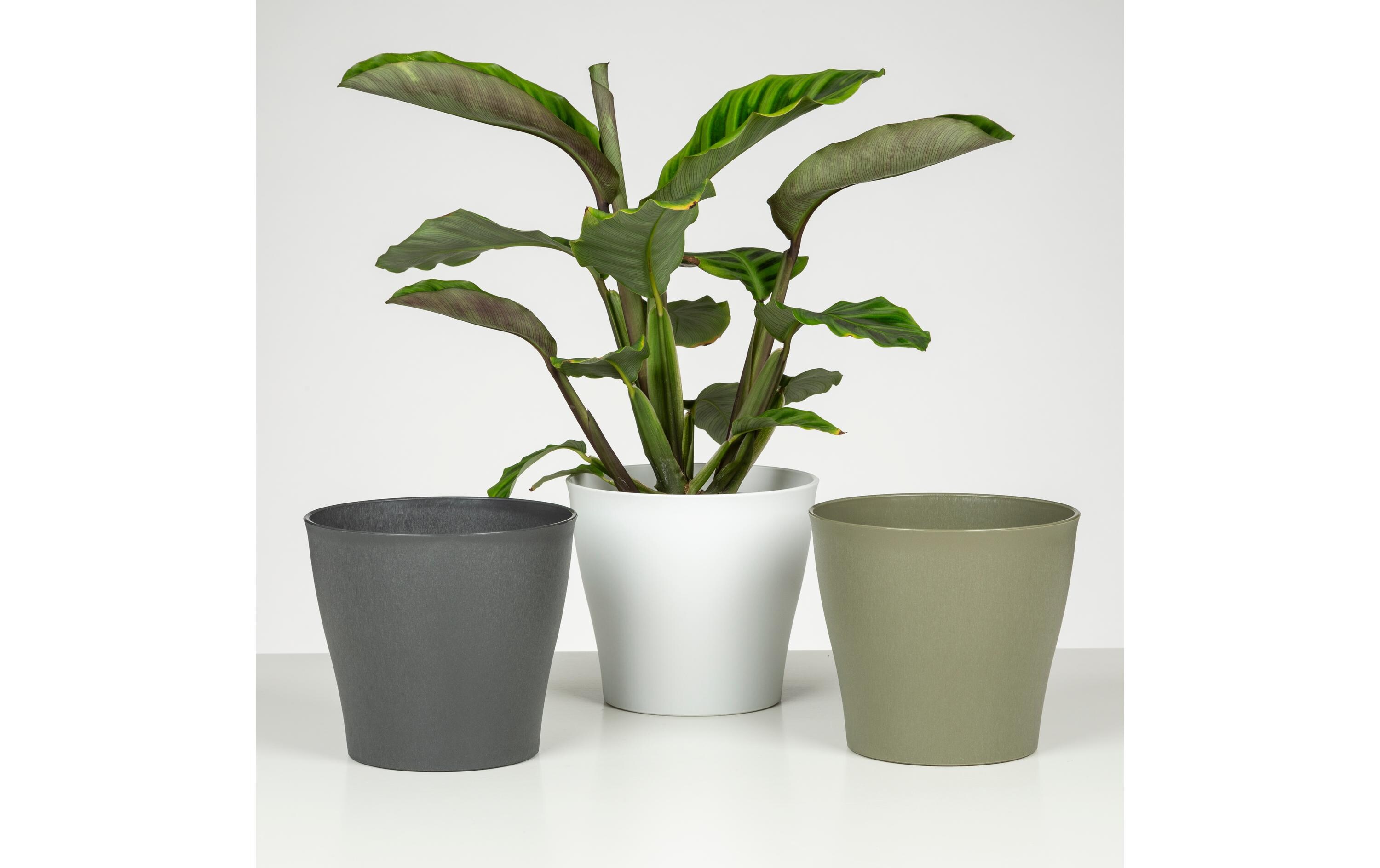 scheurich Blumentopf 21 cm, Weiss