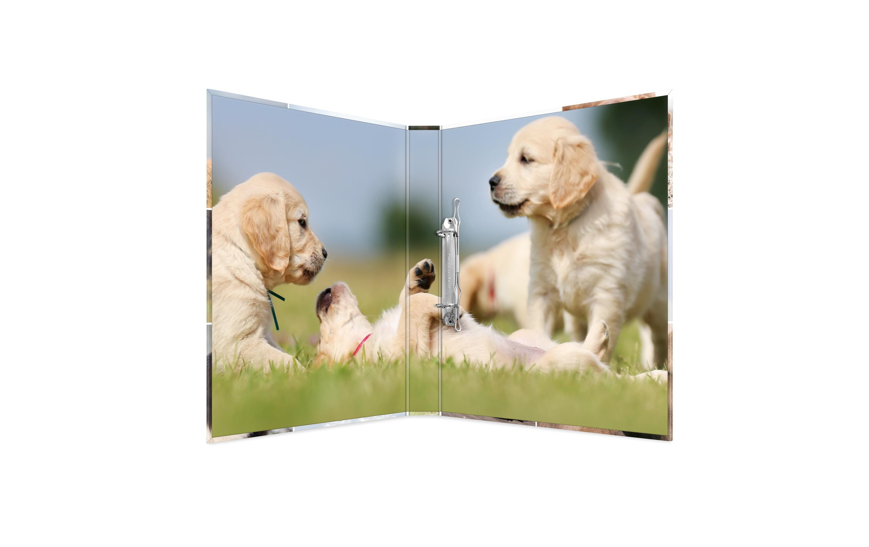 HERMA Ringbuch Hunde 2-Ring 3.5 cm