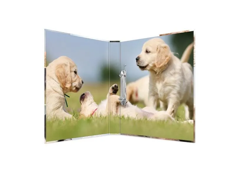 HERMA Ringbuch Hunde 2-Ring 3.5 cm