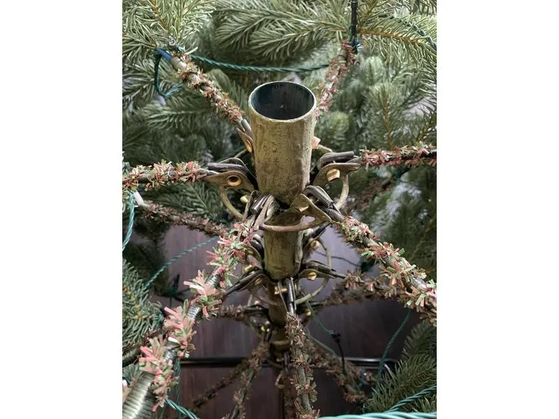 Botanic-Haus Weihnachtsbaum De Luxe 256 LEDs Easy Shape, 150 cm