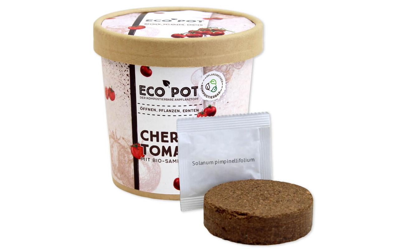 Feel Green EcoPot Cherry Tomate BIO