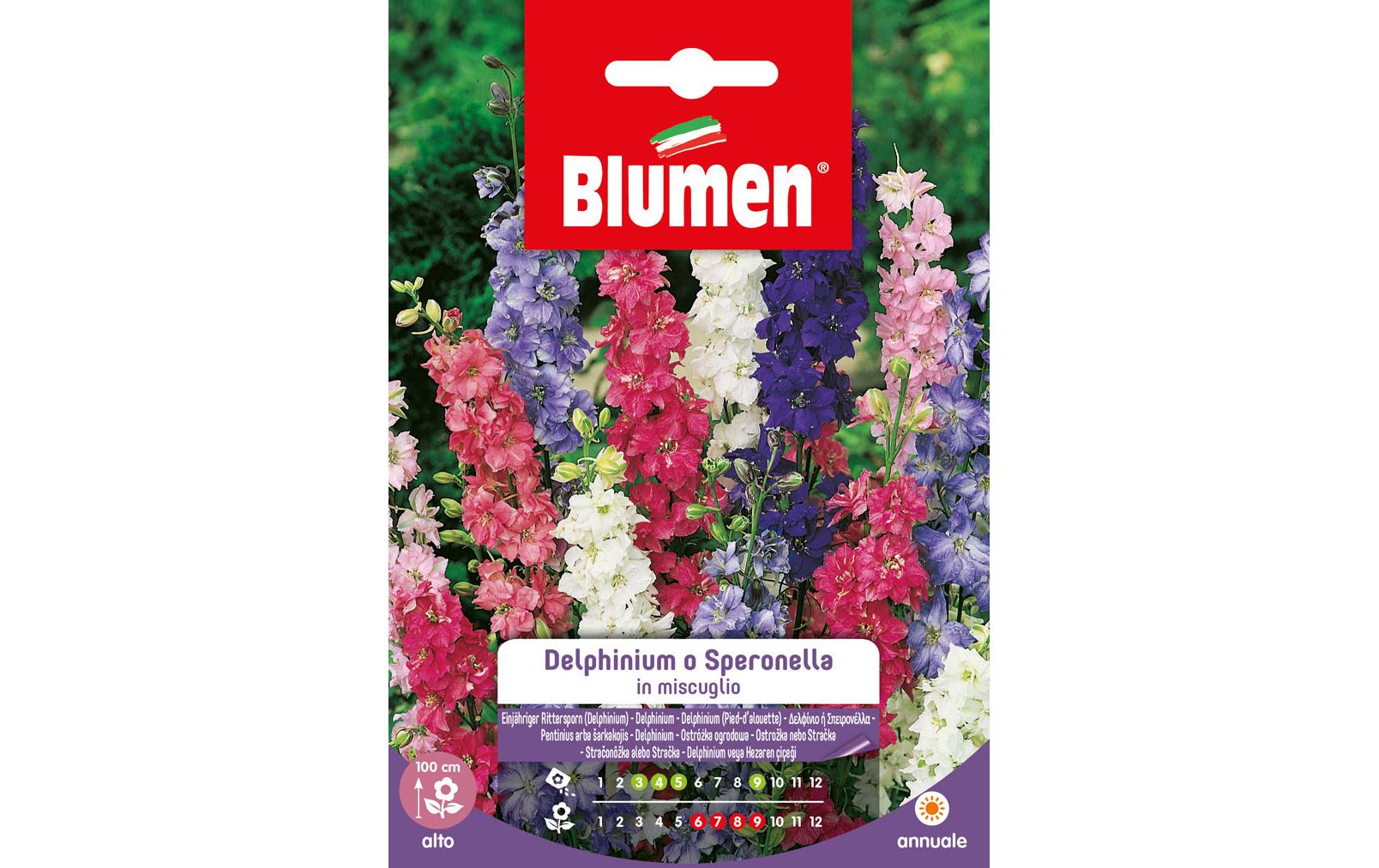 Blumen Saatgut Einjähriger Rittersporn Mix