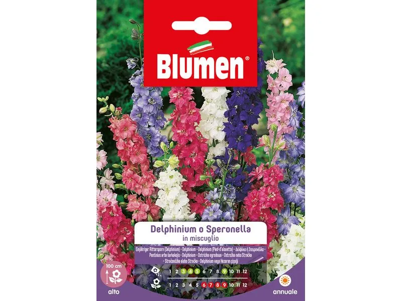 Blumen Saatgut Einjähriger Rittersporn Mix Blumen Saatgut Einjähriger Rittersporn Mix