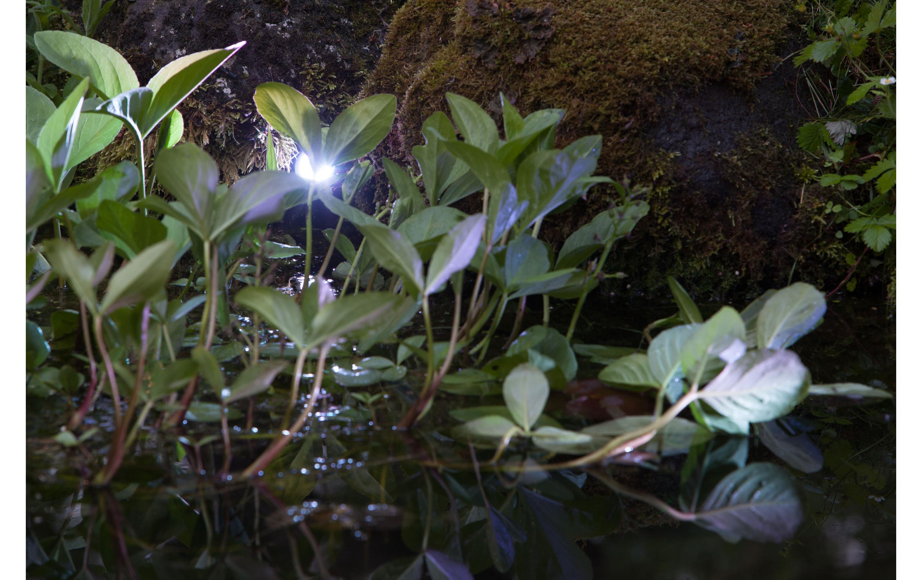 HEISSNER SMART LIGHT Spot, 4W, Warmweiss, Kunststoff