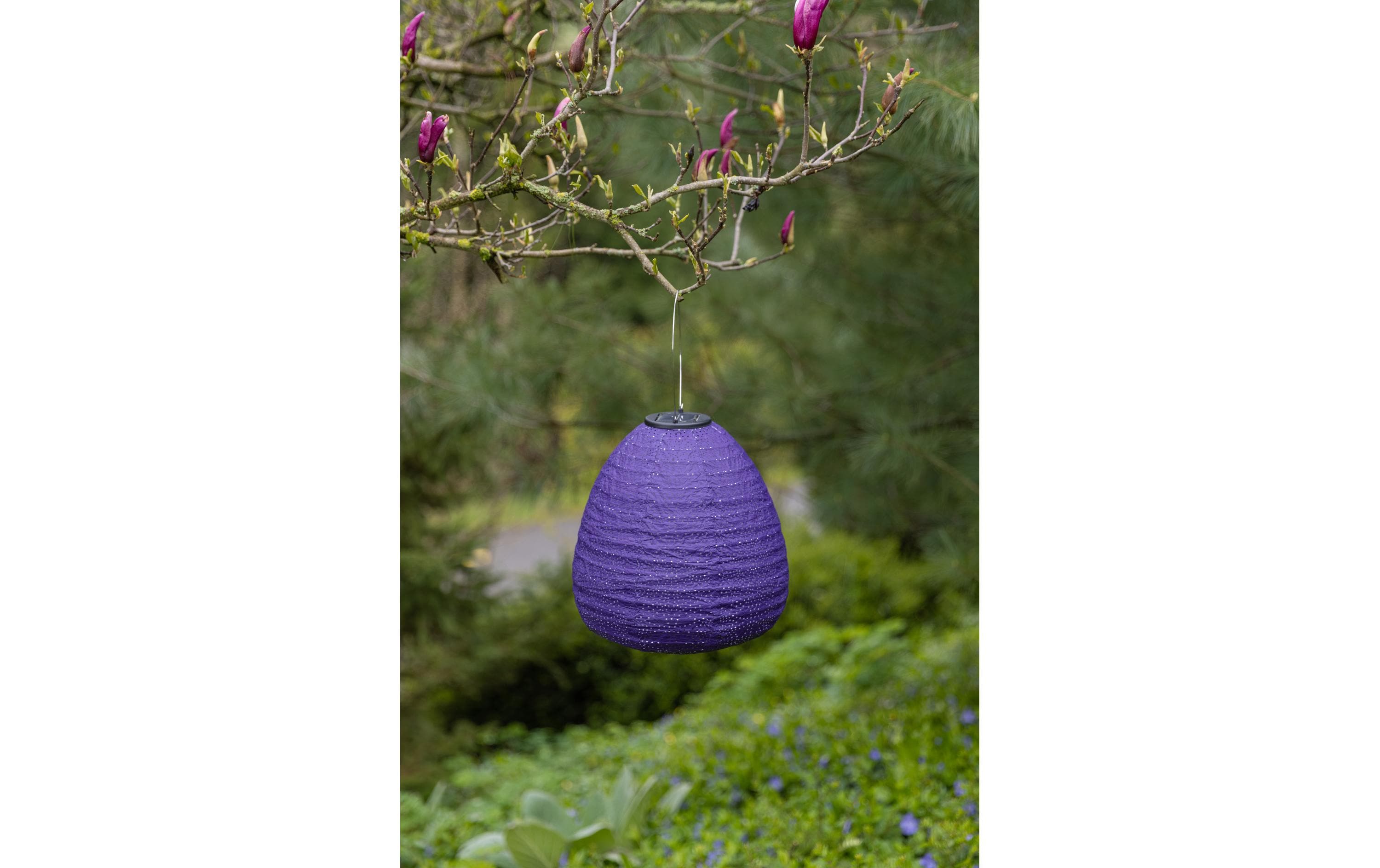 COCON Lampion LED Solar Kuppel, Dunkelviolett, 3 Stück