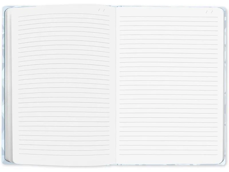 Caran d'Ache Notizbuch Alpine Frost A5, Liniert, Blau Caran d'Ache Notizbuch Alpine Frost A5, Liniert, Blau