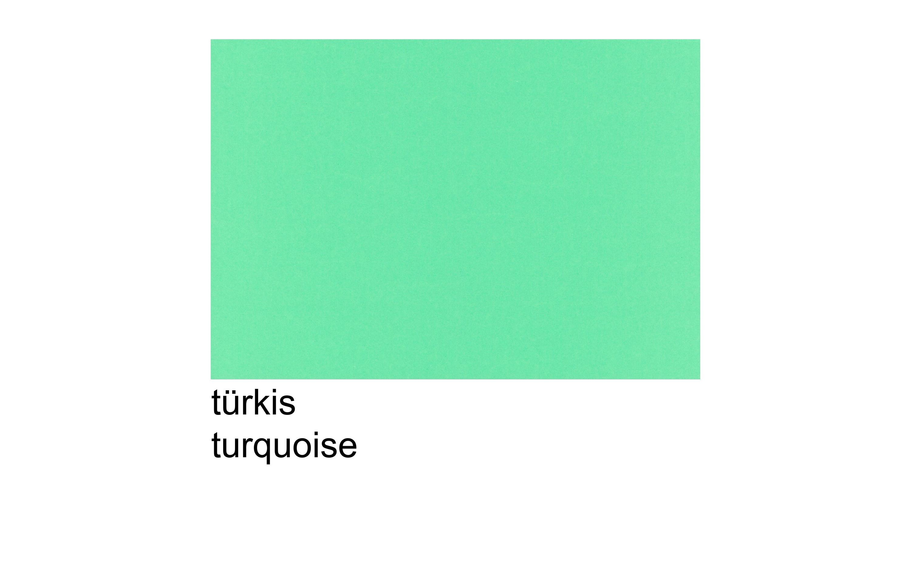 Scaldia Tonzeichenpapier A4, 130 g/m², 100 Stück, Türkis