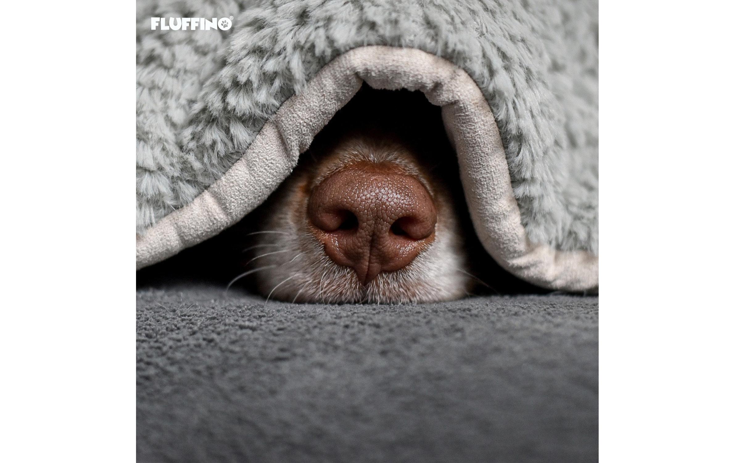 Fluffino Hunde-Decke S, Grau