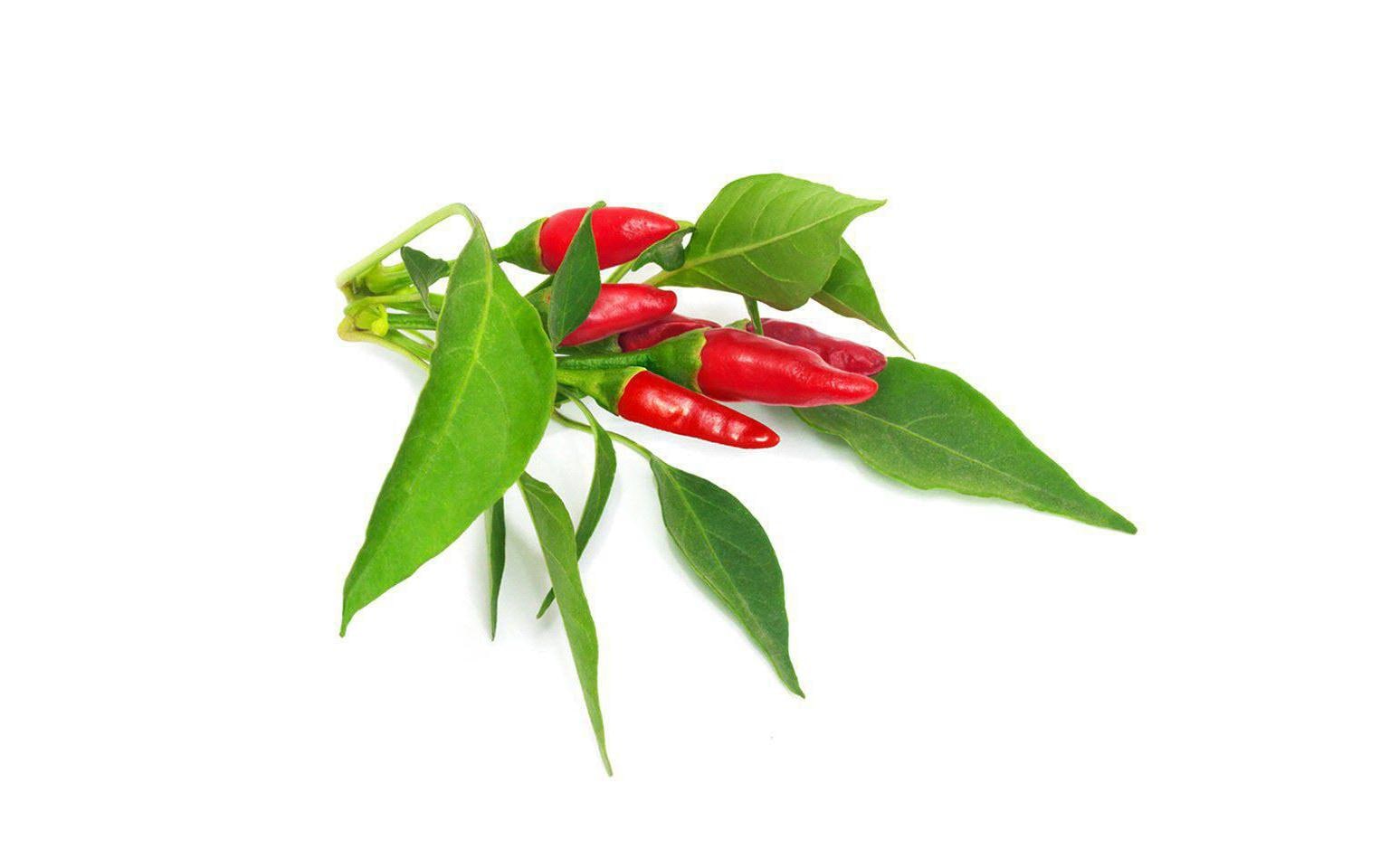 Click and Grow Samen Piri Piri Chili Click and Grow Samen Piri Piri Chili