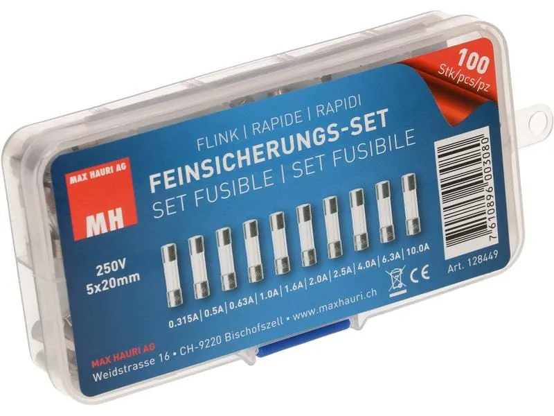 Max Hauri Schmelzsicherung Set 5 x 20 mm Flink, 100 Stück