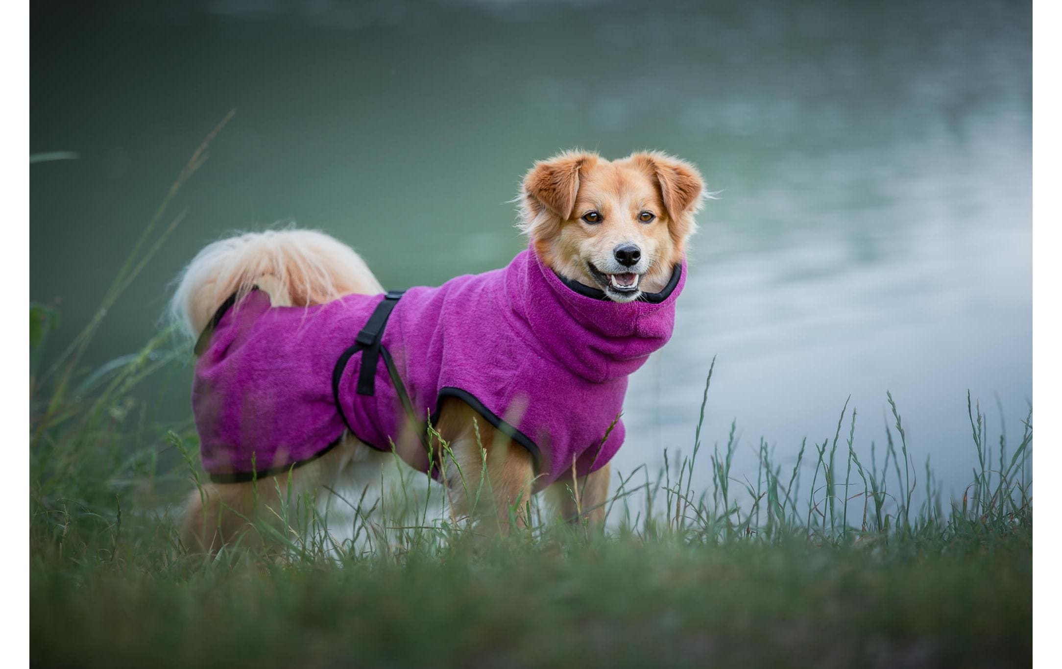 Deek Bademantel 2XS, 35 cm, Berry Deek Bademantel 2XS, 35 cm, Berry