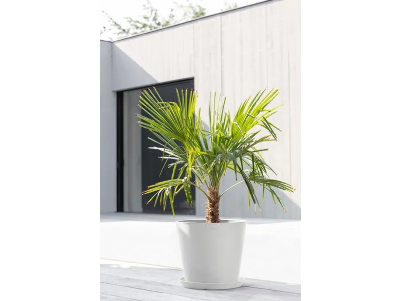 Ecopots Pflanzentopf Amsterdam 40, Weiss Ecopots Pflanzentopf Amsterdam 40, Weiss