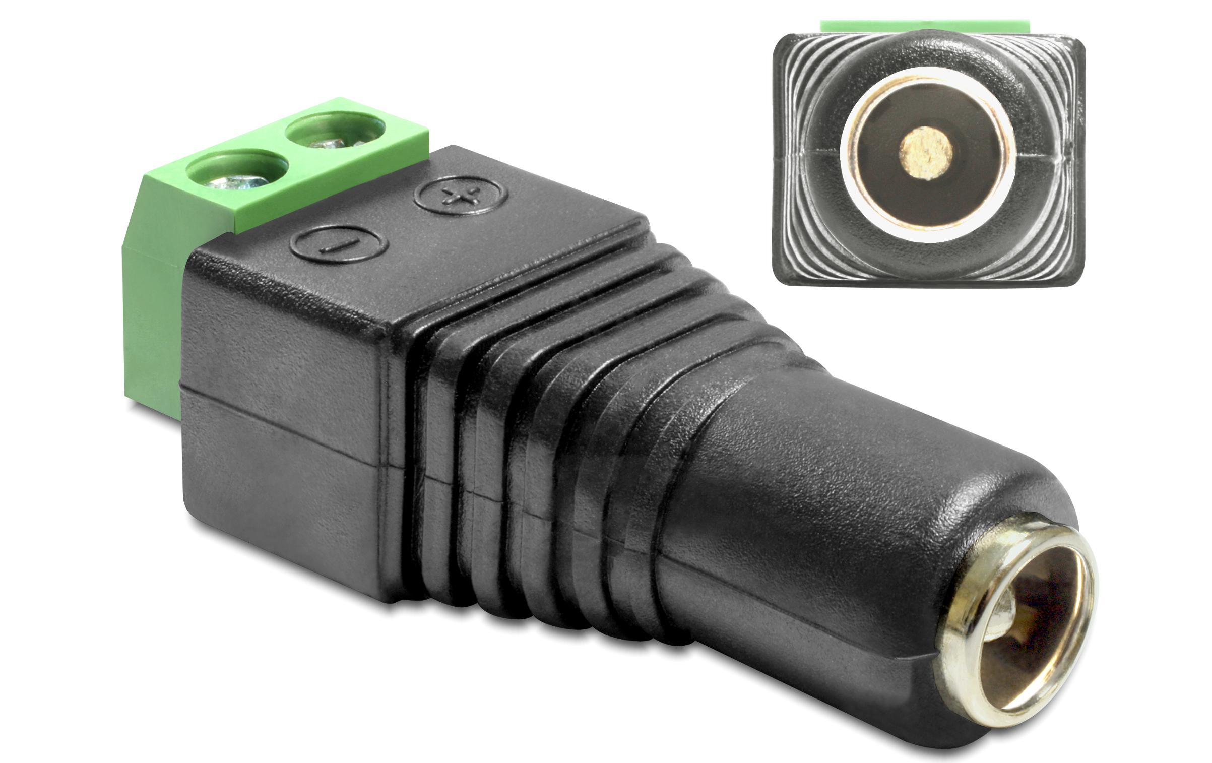 Delock Hohlstecker DC 5.5 x 2.5 mm Buchse > Terminalblock 2 Pin
