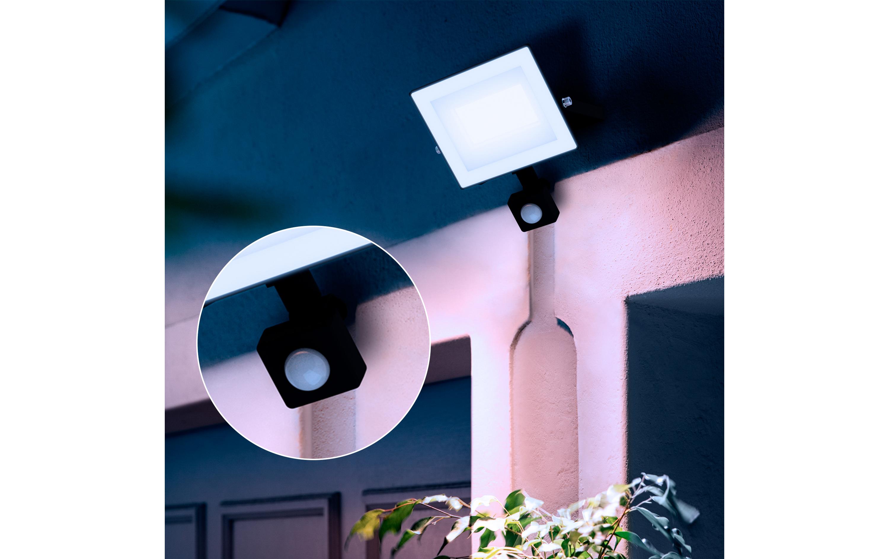 Philips Lois Flutlicht 30W 5000K IR IP65 schwarz 30 W