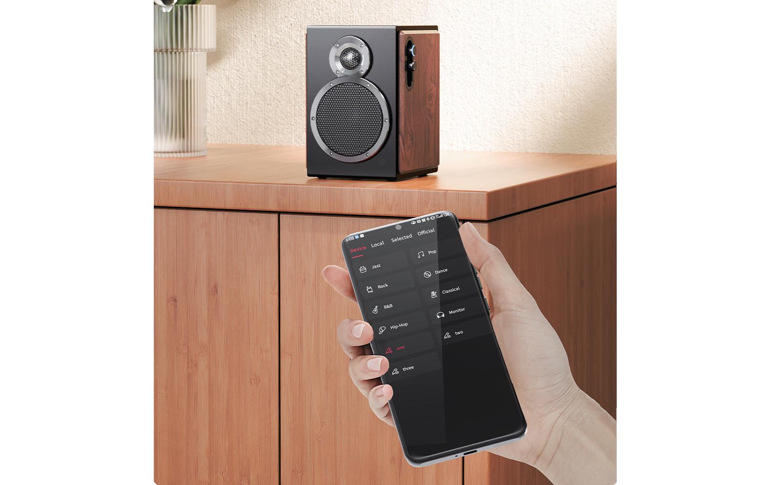 FiiO SA1 Aktiv-Lautsprecher (1 Paar) Schwarz/Holz