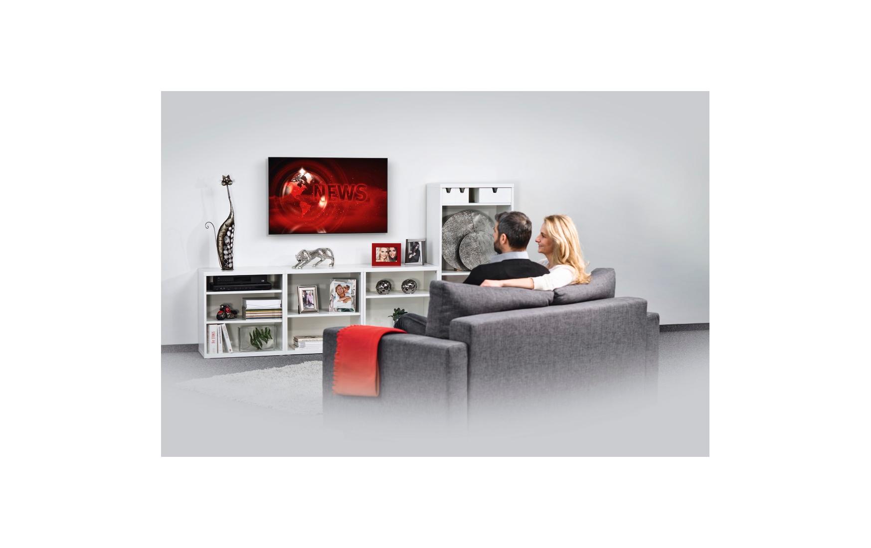 Hama Technics AG TV-Wandhalterung 65 Schwarz