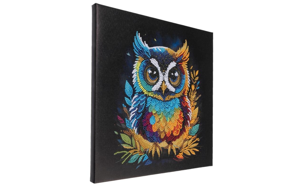 CRAFT Buddy Bastelset Crystal Art Kit Eule