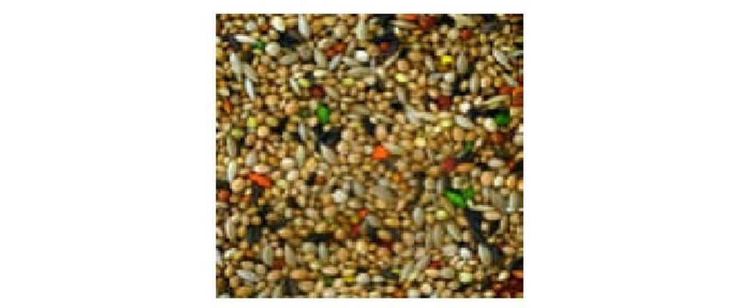 Eric Schweizer Ziervogelfutter Qualitätsmischung Exoten, 1 kg Eric Schweizer Ziervogelfutter Qualitätsmischung Exoten, 1 kg