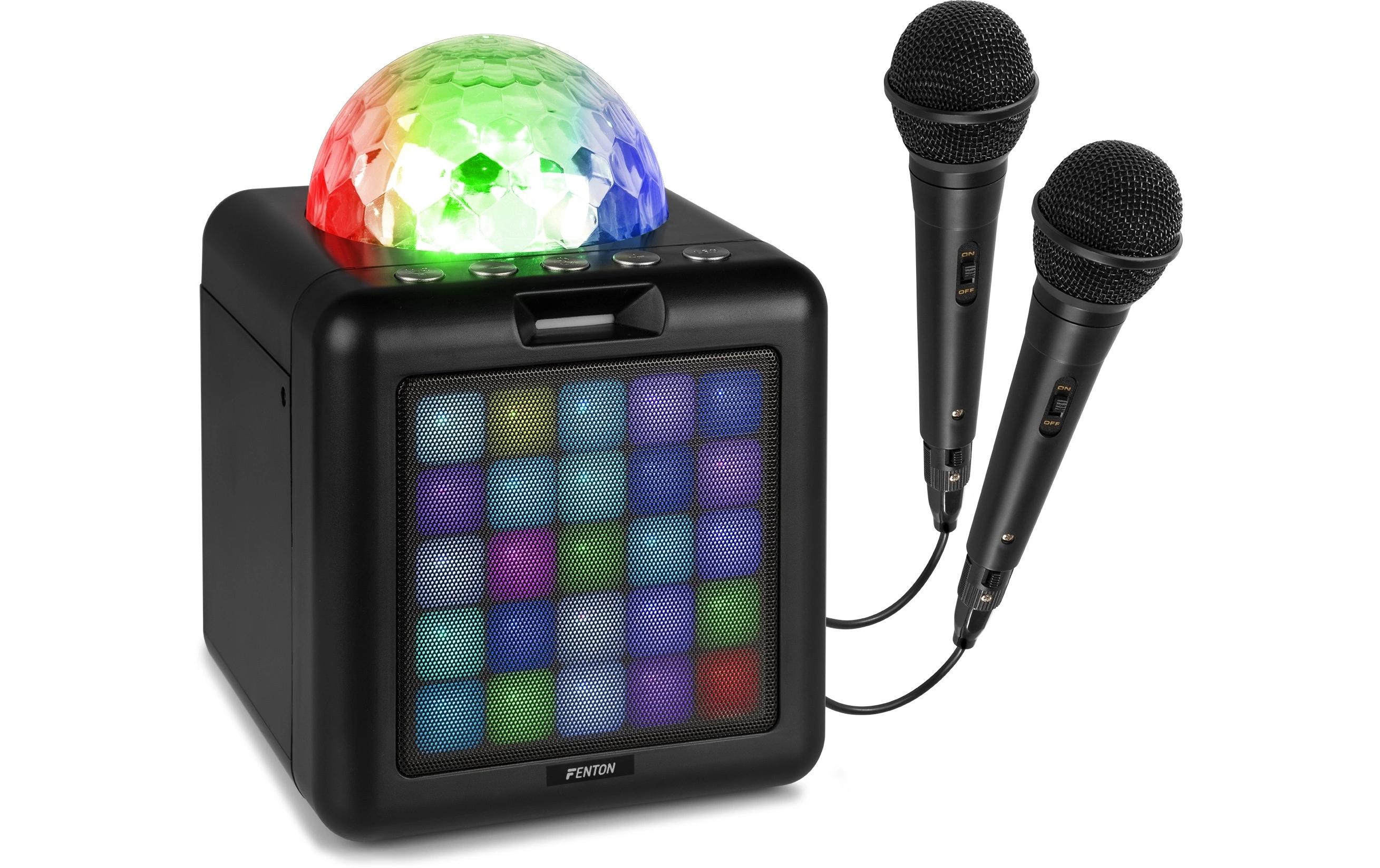 Fenton Lautsprecher KAR15B mit 2 Mikrofonen Fenton Lautsprecher KAR15B mit 2 Mikrofonen