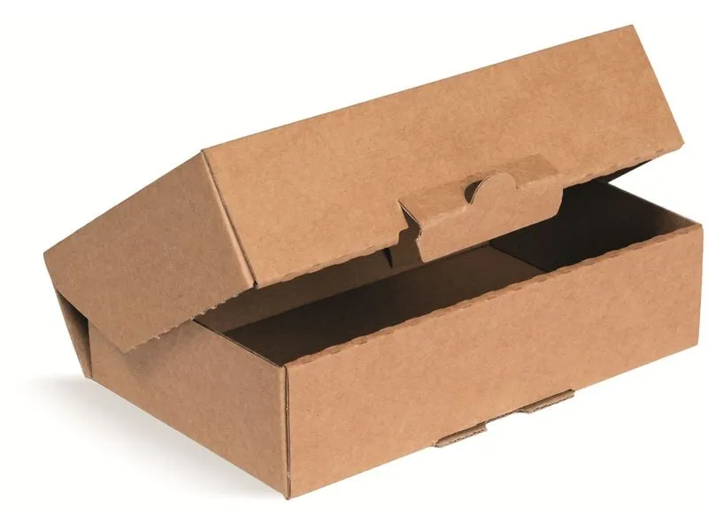 Brieger Aufrichtschachtel 1-wellig, 230x120x90 mm, Braun, 50 Stück Brieger Aufrichtschachtel 1-wellig, 230x120x90 mm, Braun, 50 Stück