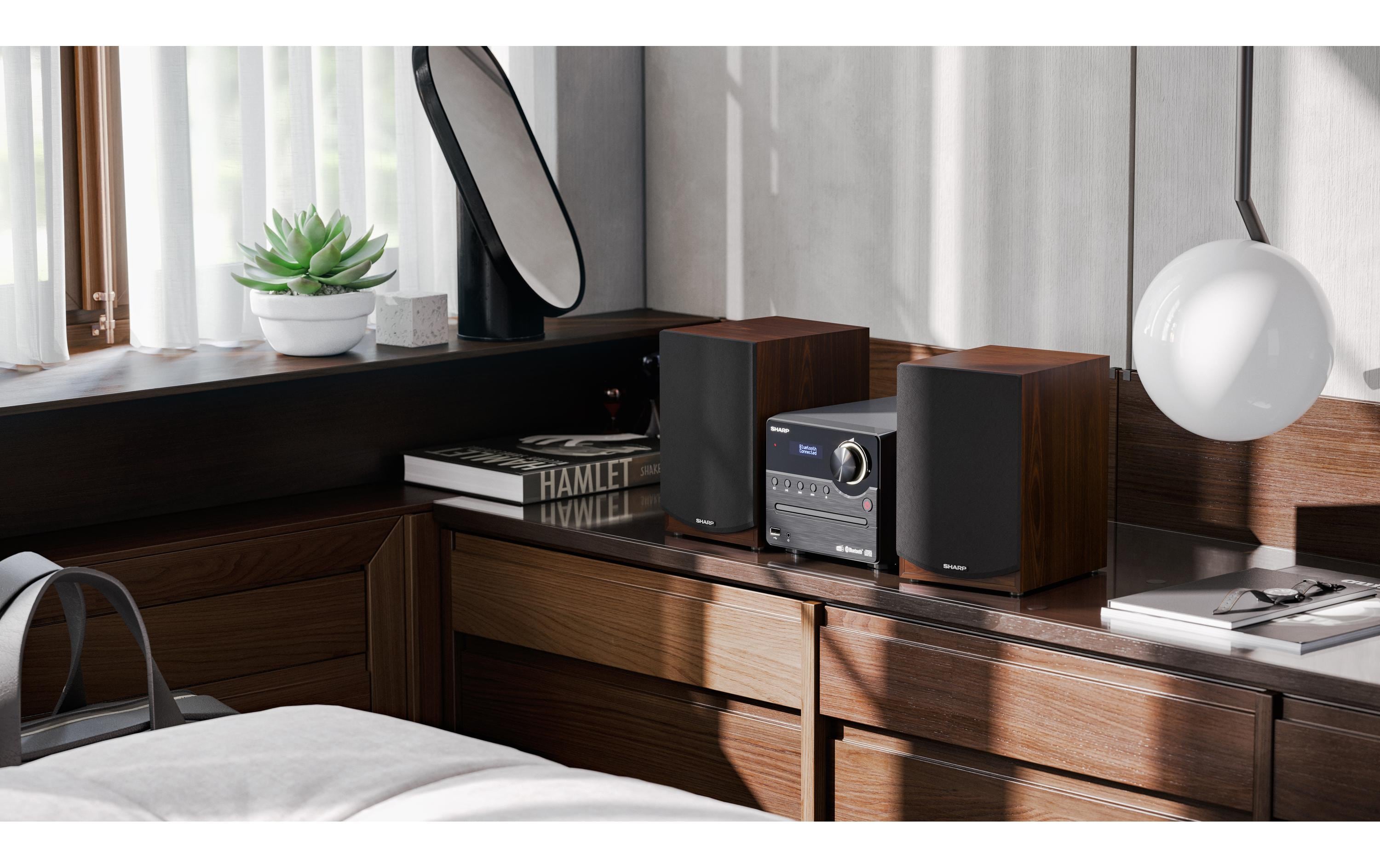 Sharp Musik-System XLB517DBR DAB+/FM Micro System