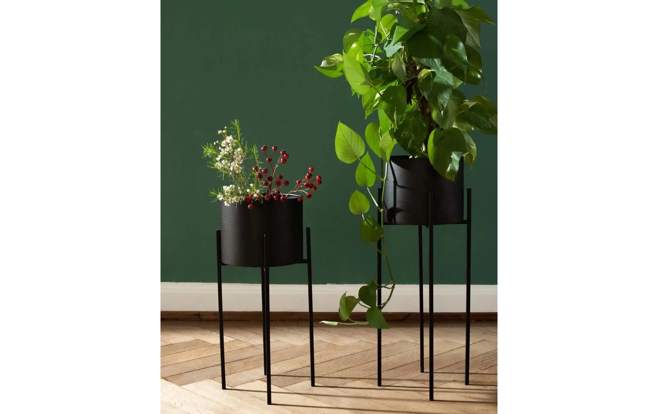 Esmée Stehender Topf 60.5 cm x 23.5 cm, Schwarz