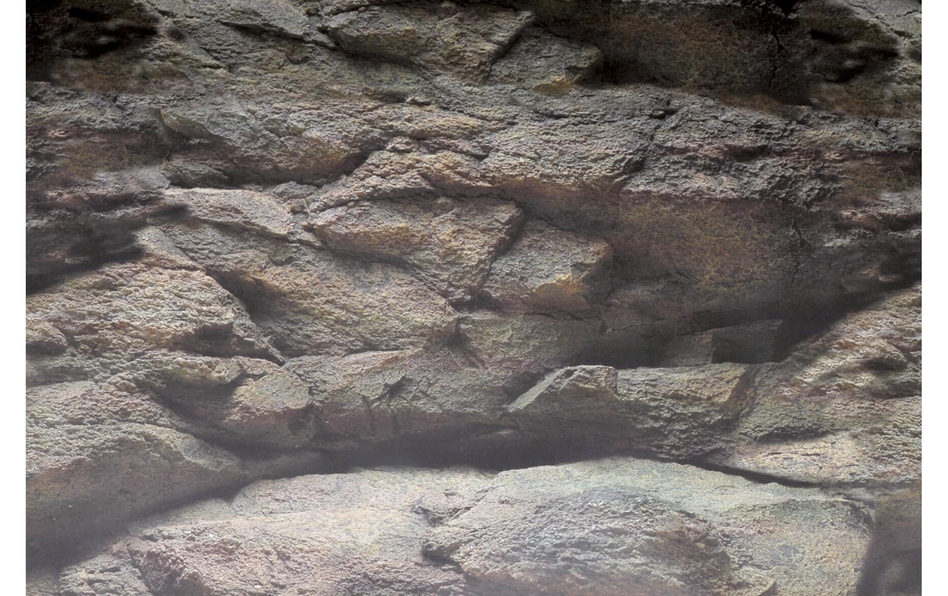 SuperFish Rückwandfolie Deko Poster B5 120 x 61 cm