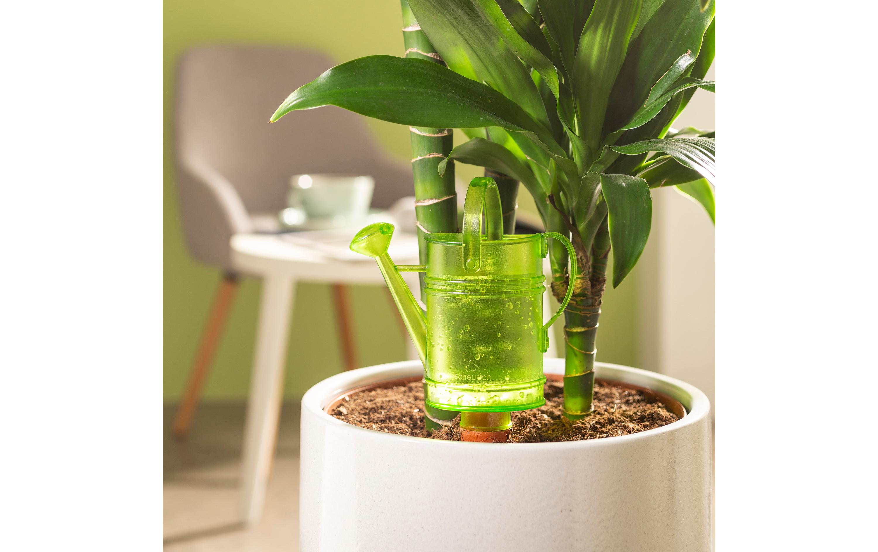 scheurich Urlaubsbewässerung Nelly M, Grün scheurich Urlaubsbewässerung Nelly M, Grün