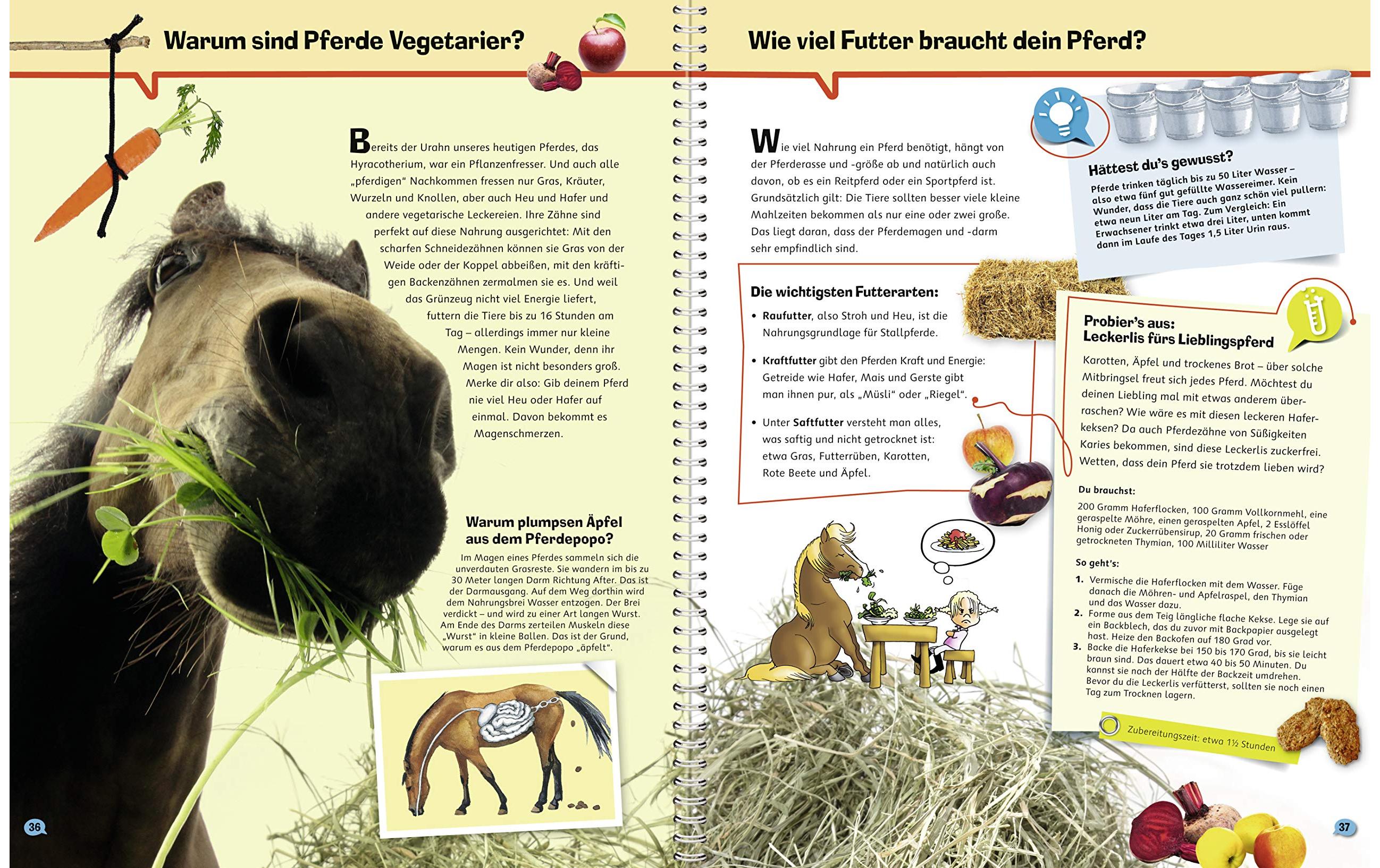 Ravensburger Kinder-Sachbuch WWW ProfiWissen 4: Pferde