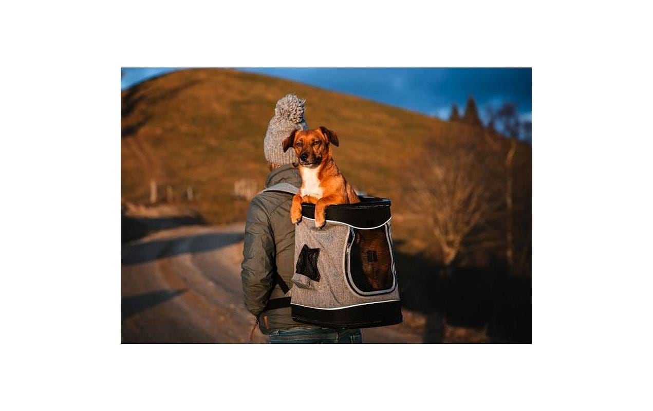 Deek Tiertransport-Rucksack Leon, 34 x 44 x 30 cm, Grau Deek Tiertransport-Rucksack Leon, 34 x 44 x 30 cm, Grau