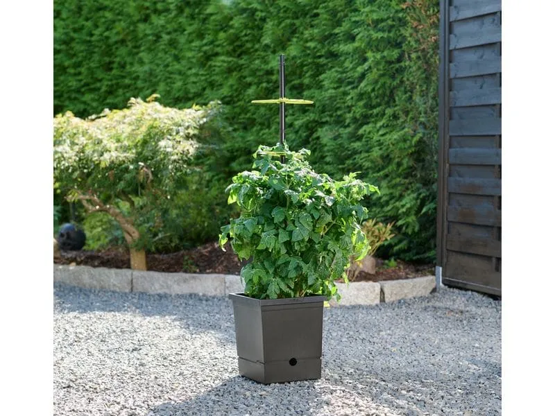 Romberg Tomatentopf mit Selbstbewässerung mit flexiber Rankhilfe Romberg Tomatentopf mit Selbstbewässerung mit flexiber Rankhilfe
