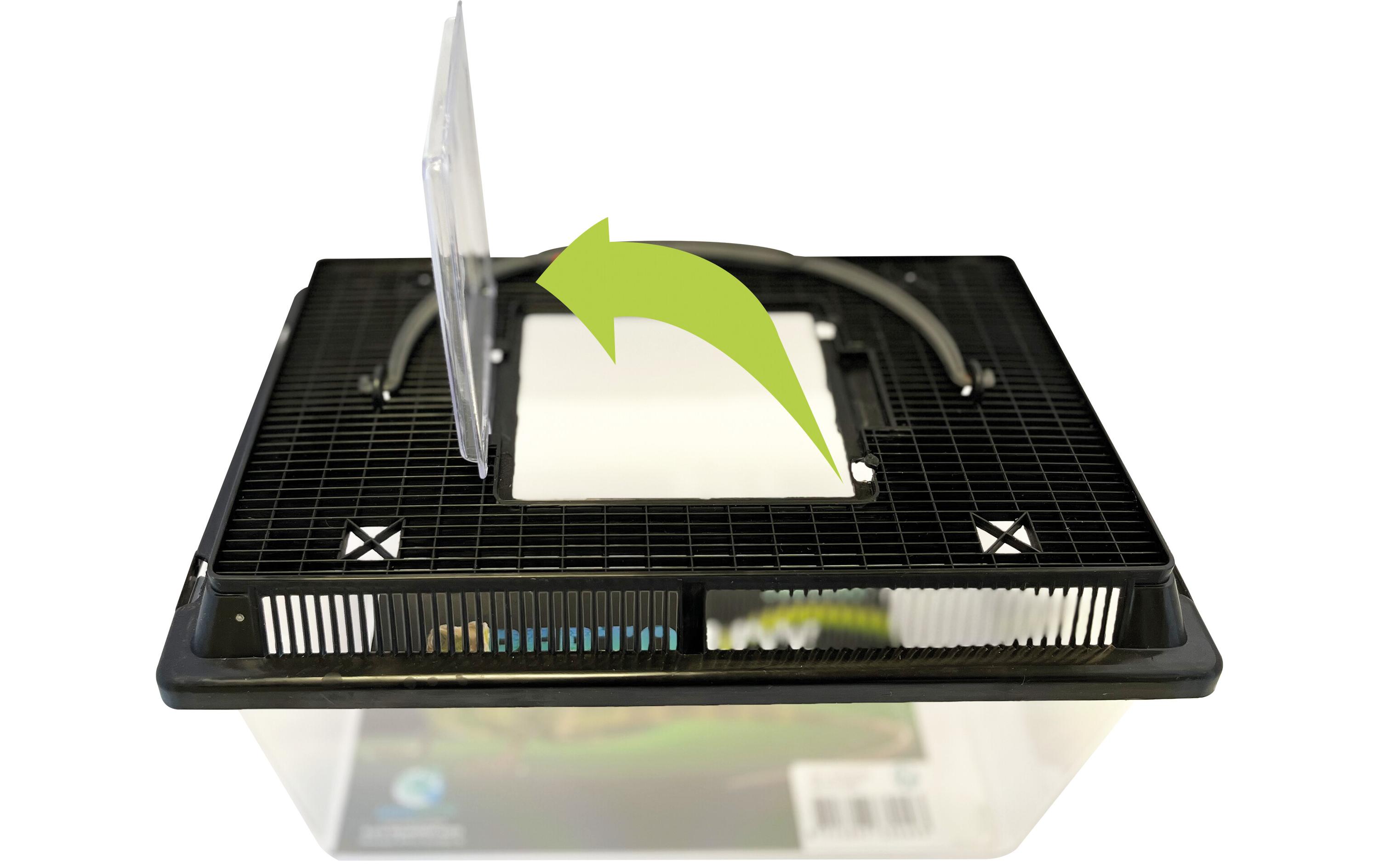 Repto Kunststoffterrarium Breedingbox M, 27 x 17 x 16 cm