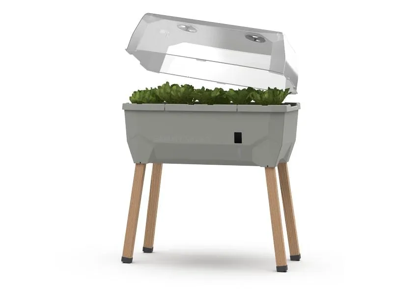 Gusta Garden Deckel zu SAMMY SALAD Transparent
