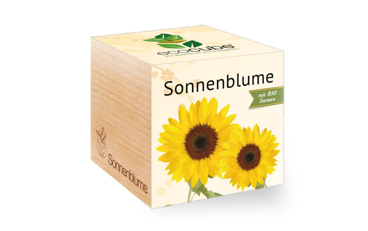 Feel Green Ecocube Sonnenblume BIO
