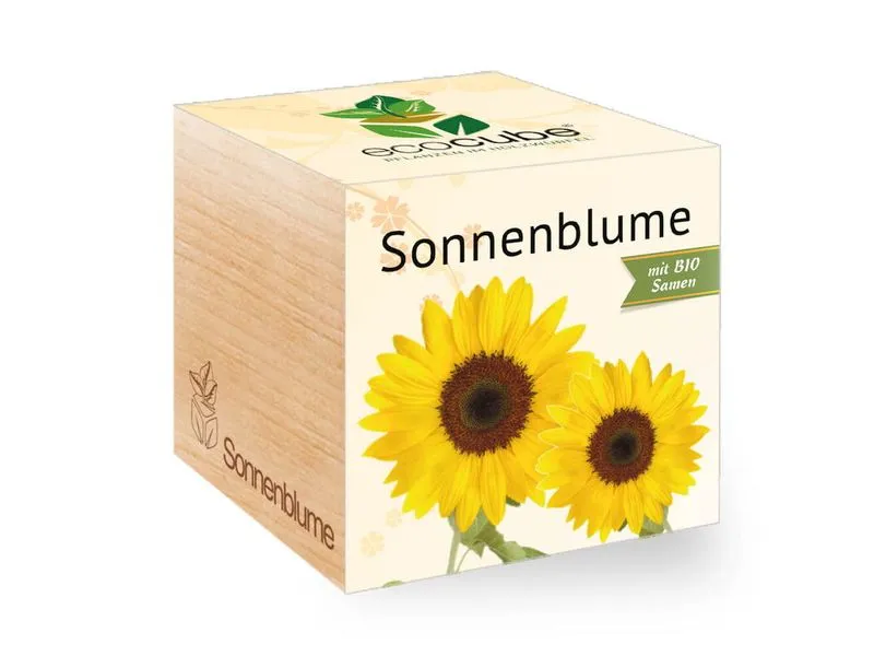 Feel Green Ecocube Sonnenblume BIO Feel Green Ecocube Sonnenblume BIO