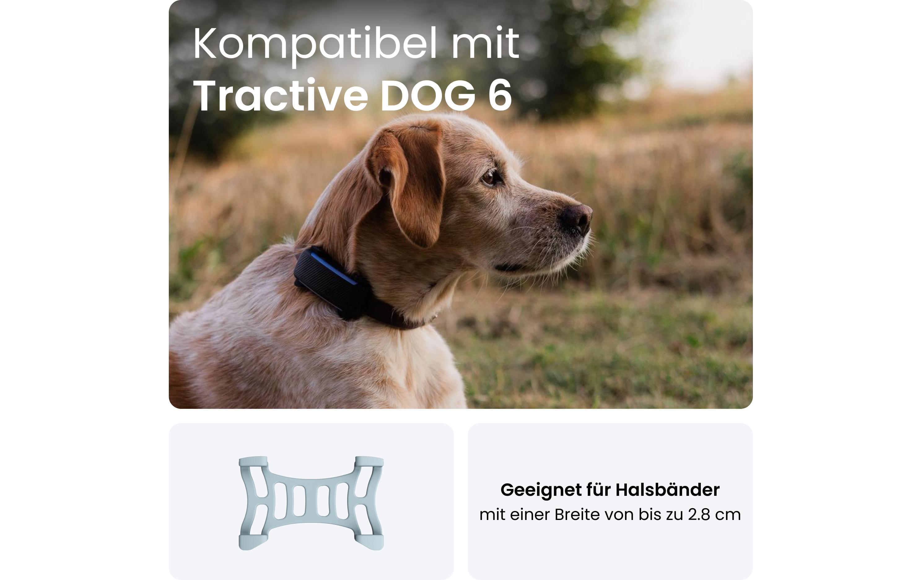 tractive GPS-Tracker Dog 6 Klammern mint 2 Stück