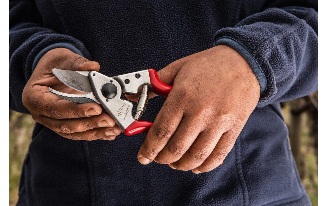 Felco Gartenschere 16 für Linkshänder