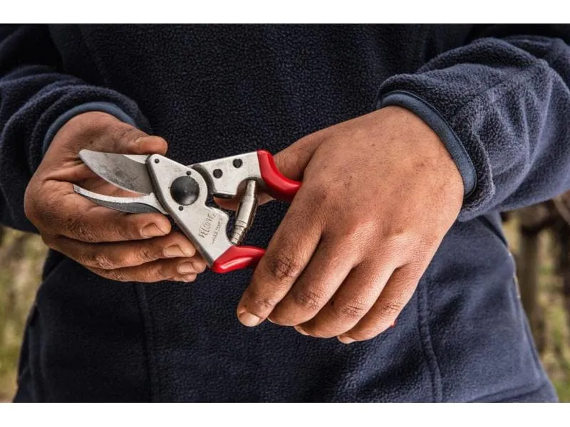 Felco Gartenschere 16 für Linkshänder Felco Gartenschere 16 für Linkshänder